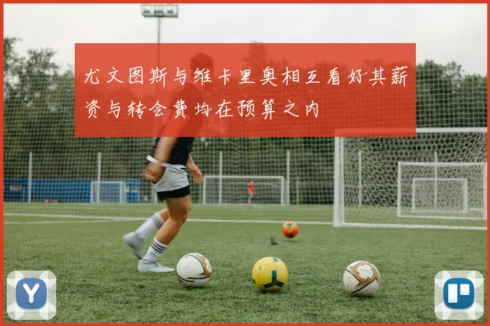 尤文图斯与维卡里奥相互看好其薪资与转会费均在预算之内
