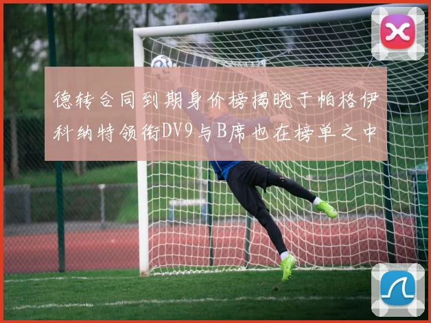 德转合同到期身价榜揭晓于帕格伊科纳特领衔DV9与B席也在榜单之中