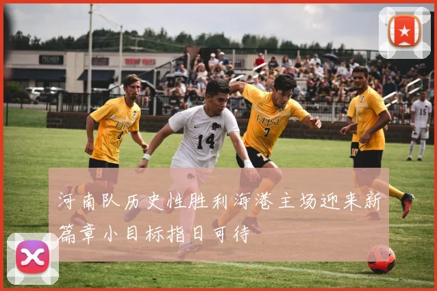 河南队历史性胜利海港主场迎来新篇章小目标指日可待