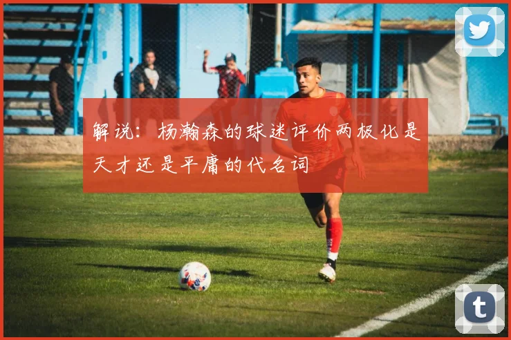 解说：杨瀚森的球迷评价两极化是天才还是平庸的代名词