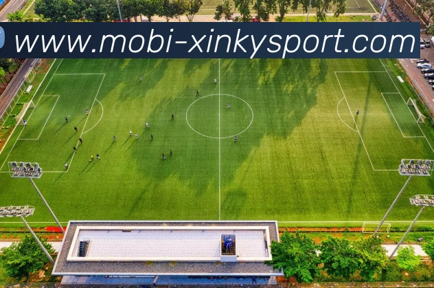 App Interface Preview